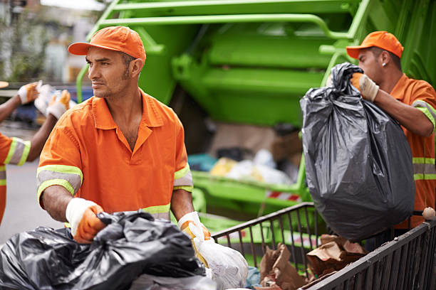 Debris Removal in Wheaton, MN